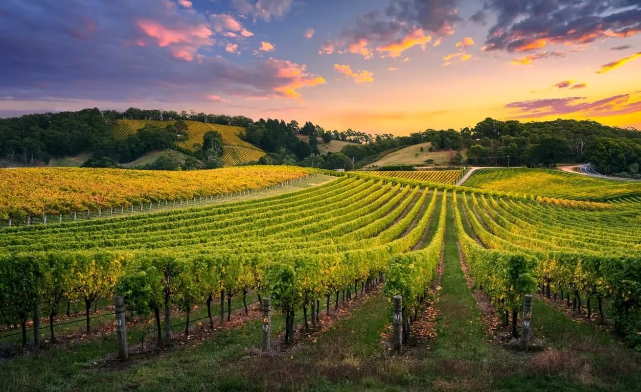 Solar panels and battery storage in Barossa Valley, SA