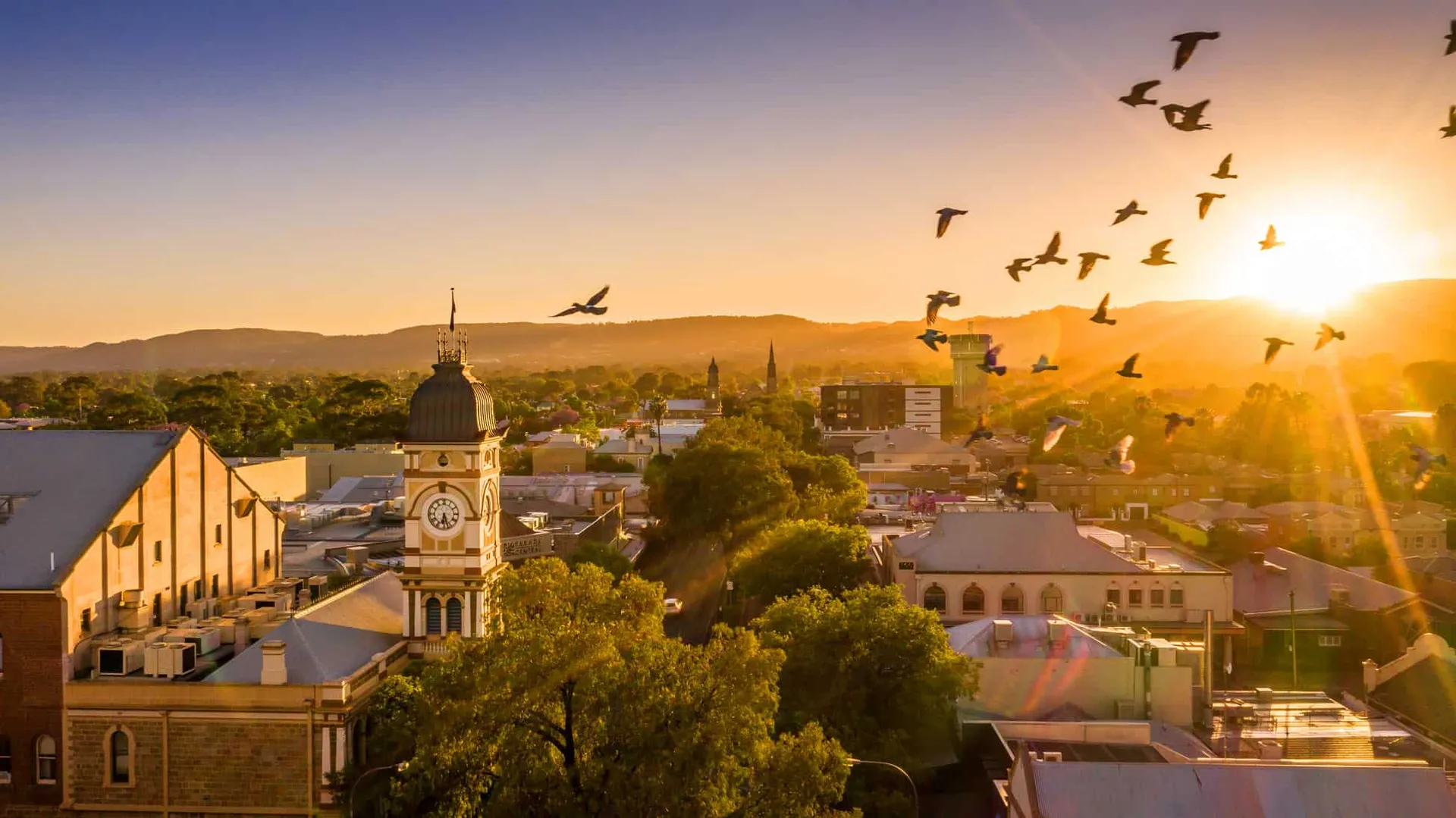 Solar panels and battery storage in Eastern Adelaide, SA